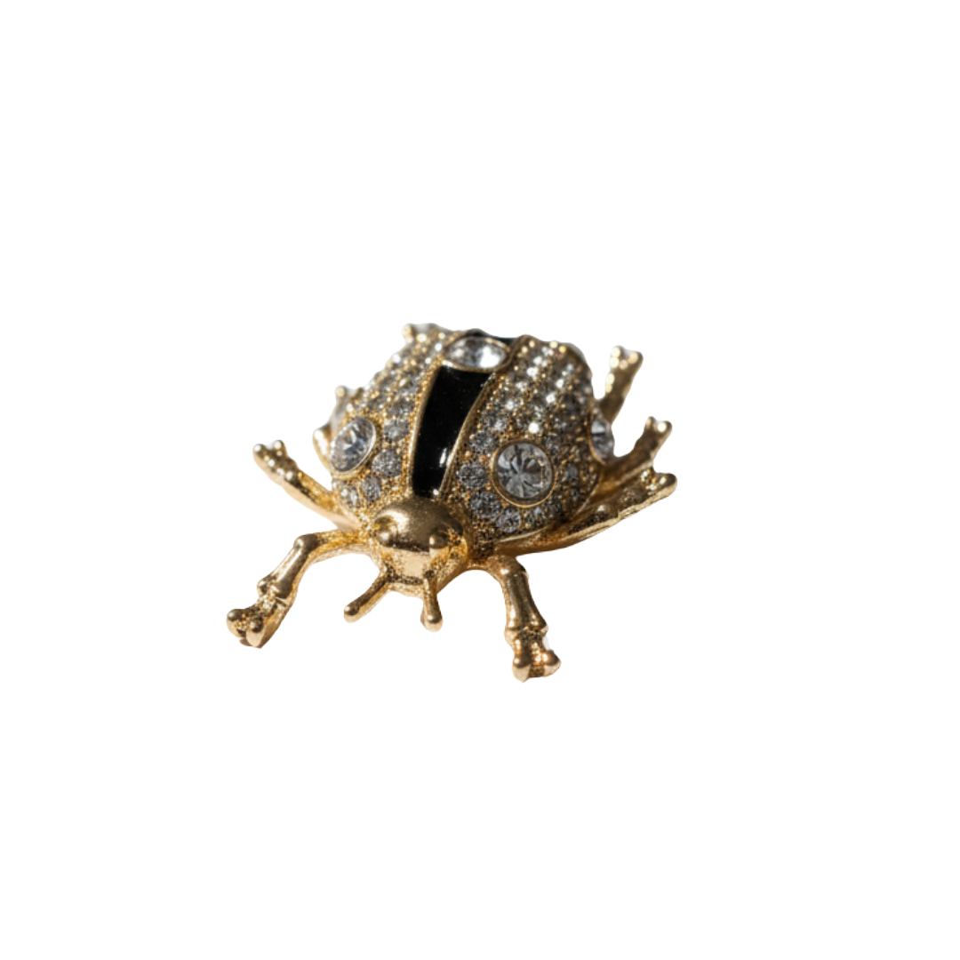 Gold insect-shaped jewelry shoe charm on a white background